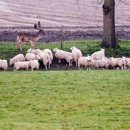 Bed & Breakfast De Schuur Inn Numansdorp Bagian luar foto
